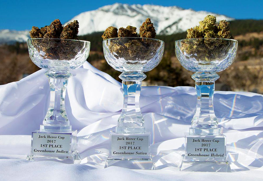 Sol Reno Nevada SoL Cannabis, A One-of-a-Kind Dispensary | Reno, Nevada