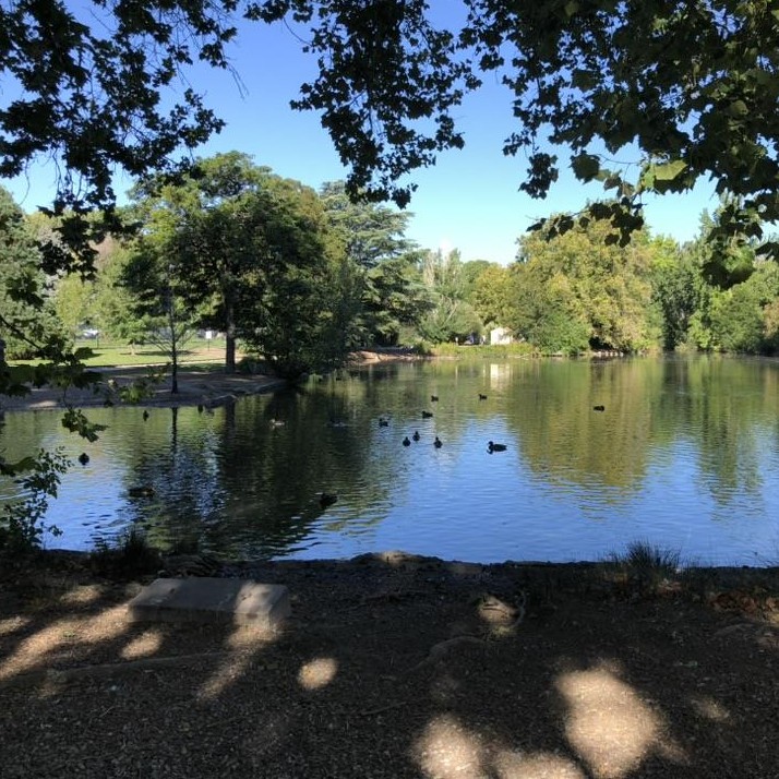 Exploring Reno’s Urban Parks and Oases | Reno, Nevada