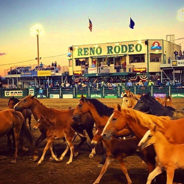 Reno Rodeo Wrangler Gold Tour Reno Rodeo Nevada Events