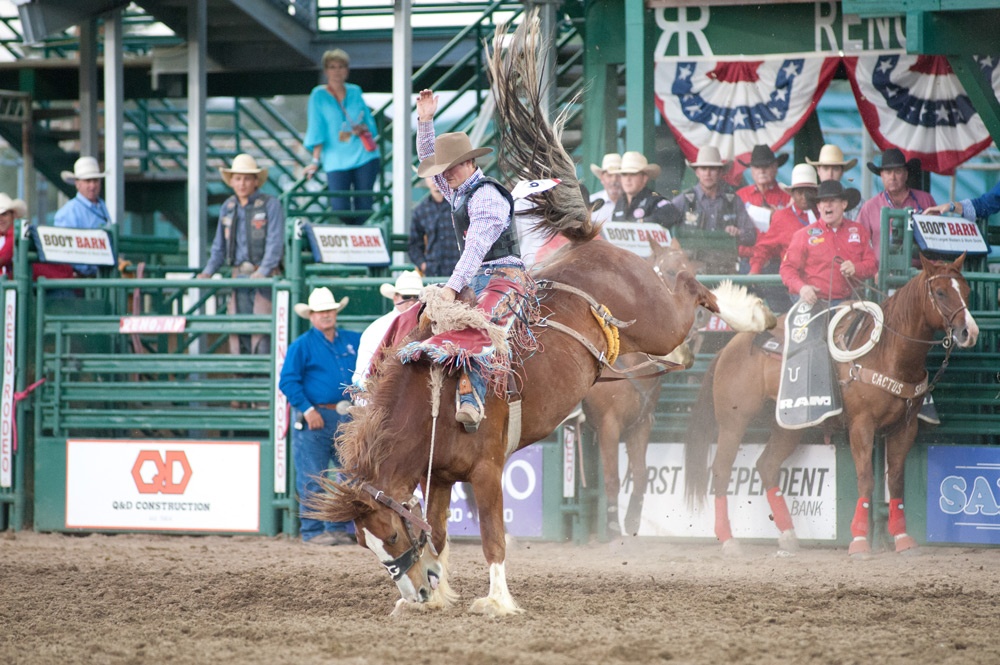 Reno Rodeo 100 Reno Rodeo Nevada Events