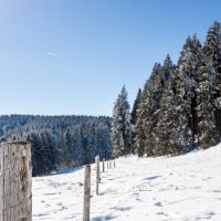 rural fence and hillside in winter