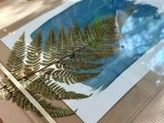 Wandering Wyld, Sun Printing: A Cyanotype Workshop