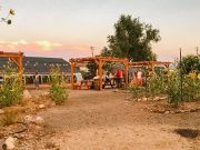 Urban Roots, Seedkeepers Table