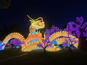 Reno-Sparks Events, Dragon Lights Reno