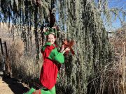 Urban Roots, Handmade Holiday Faire