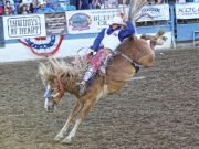 Reno Rodeo, Bareback