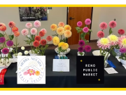 Reno Public Market, 2026 Dahlia Show & Competition