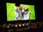 The Reno Philharmonic, Harry Potter and The Chamber of Secrets™ in Concert