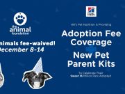 Nevada Humane Society, Sweet 16 Million - Pet Adoption Drive