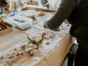 Wandering Wyld, Botanical Dyeing on Silk Scarves Workshop