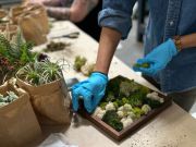 Wandering Wyld, Mini Moss Garden Workshop