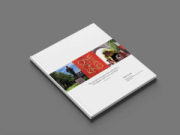 Nevada Historical Society, The People and Places that Make Reno the Biggest Little City in the World