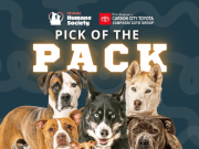 Nevada Humane Society, Pick of the Pack Fundraiser
