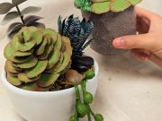 Wandering Wyld, Papercraft Succulents Workshop