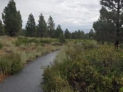 Nevada Humanities, Footsteps into Story: How Travel and Hiking Inspire Writing