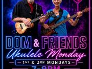 Midtown Spirits, Wine & Bites, Ukelele Monday with Dom & Friends