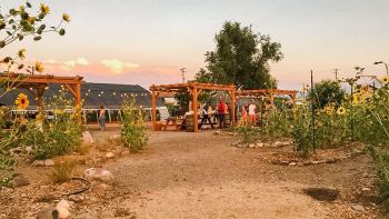 Urban Roots, Seedkeepers Table