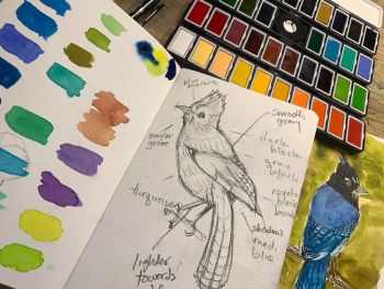 Nevada Humanities, Sagebrush to Sandstone: Nature Journaling and Bird Sketching with Lindsay Dimitri and Meredith Solin