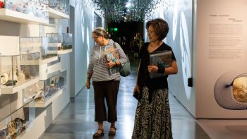 Nevada Museum of Art, Educator Evening: Inquiring Minds Want to Know: Ichthyosaur Stories