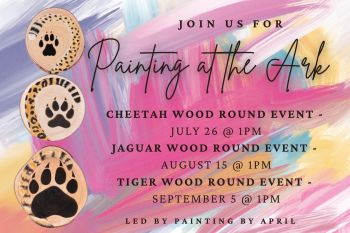 Animal Ark Wildlife Sanctuary, Painting at the Ark