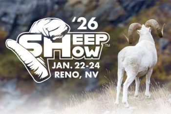 Reno-Sparks Convention Center, 2025 Sheep Show