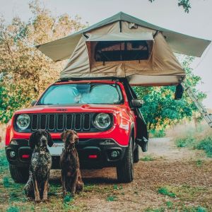 Carson Chrysler Jeep Dodge Ram photo