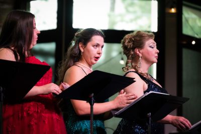 Tahoe Symphony Orchestra photo
