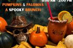 Bertha Miranda's Mexican Restaurant and Cantina, BOO-zzy Brunch & Spooky Trivia