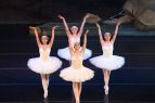 A.V.A. Ballet Theatre, Reno Phil's Swan Lake