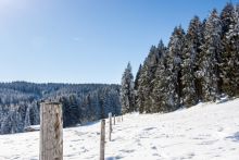 rural fence and hillside in winter