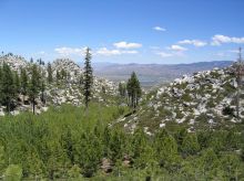 Washoe Valley Alliance
