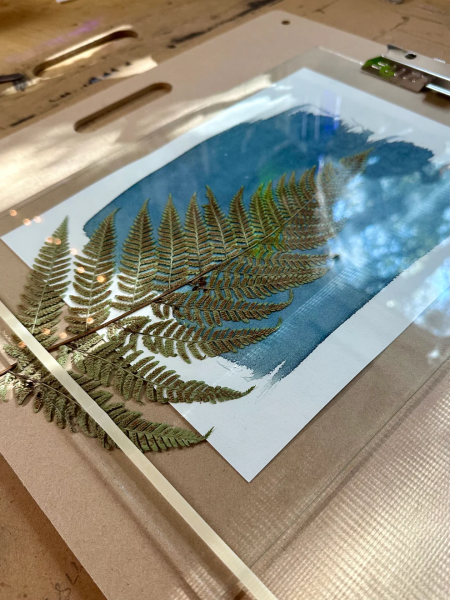 Wandering Wyld, Sun Printing: A Cyanotype Workshop