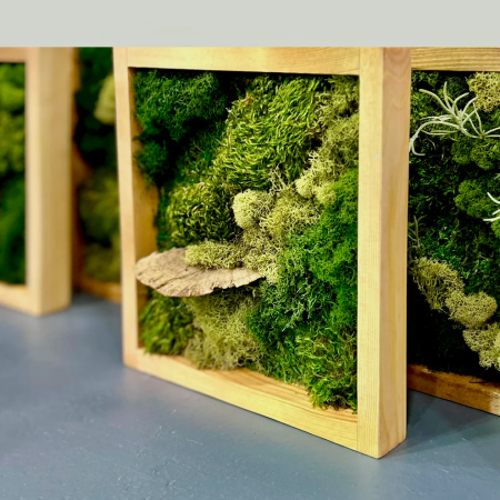 Wandering Wyld, Mini Moss Garden with MonkeyCat Studio