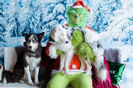Natural Paws, Pet Photos with a Twist