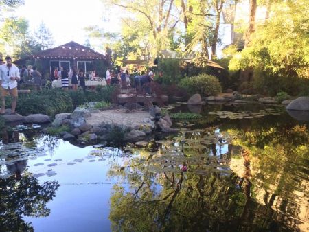 Wandering Wyld, Wyld Market at Sierra Water Gardens