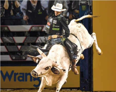 Reno-Sparks Livestock Events Center, Wrangler/ Professional's Choice ACTRA National Finals