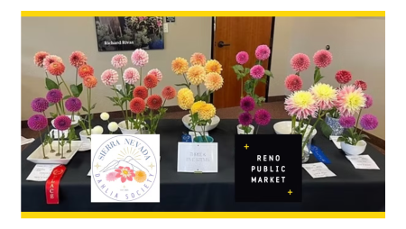 Reno Public Market, 2026 Dahlia Show & Competition