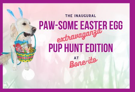 Noah's Animal House, PAW-some Easter Egg Extravaganza Pup Hunt