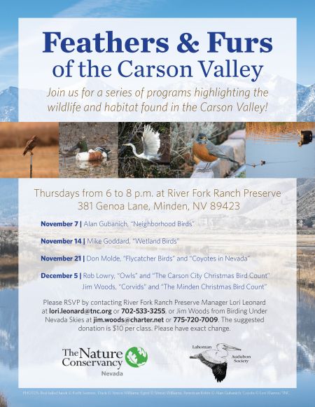 The Nature Conservancy in Nevada, Feathers and Furs of the Carson Valley