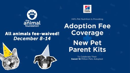 Nevada Humane Society, Sweet 16 Million - Pet Adoption Drive