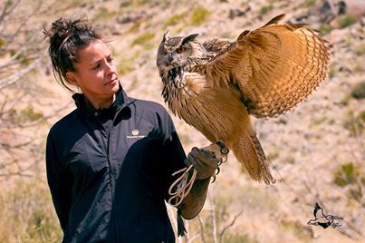 Animal Ark Wildlife Sanctuary, Animal Ark Raptor Adventures May 29, 2017