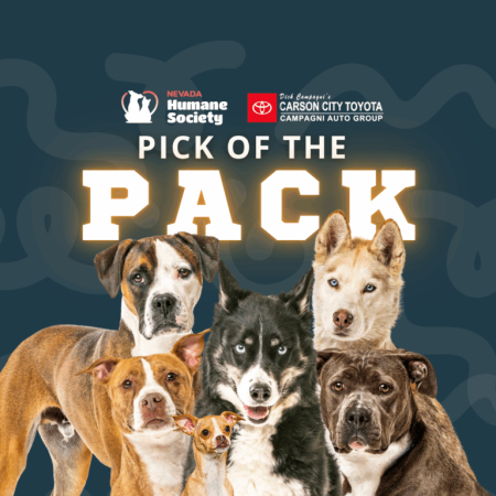 Nevada Humane Society, Pick of the Pack Fundraiser