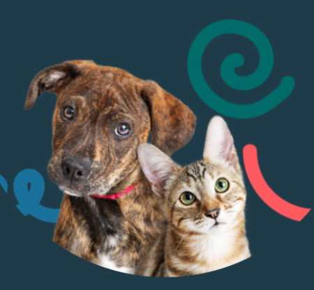 Nevada Humane Society, Paws & Programs (Carson City)