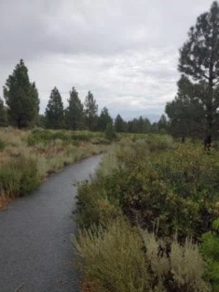 Nevada Humanities, Footsteps into Story: How Travel and Hiking Inspire Writing