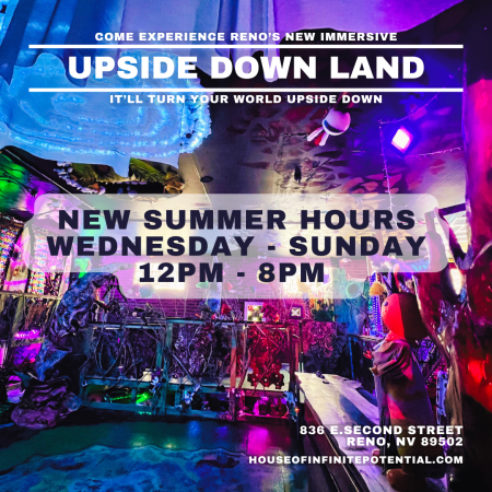 The Potentialist Workshop, Upside Down Land: Immersive Art Installation