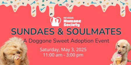 Nevada Humane Society, Adopt A Shelter Pet Day!