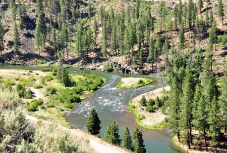 Tahoe Whitewater Tours, East Fork Carson River: Hangman’s Run (Class II Whitewater)