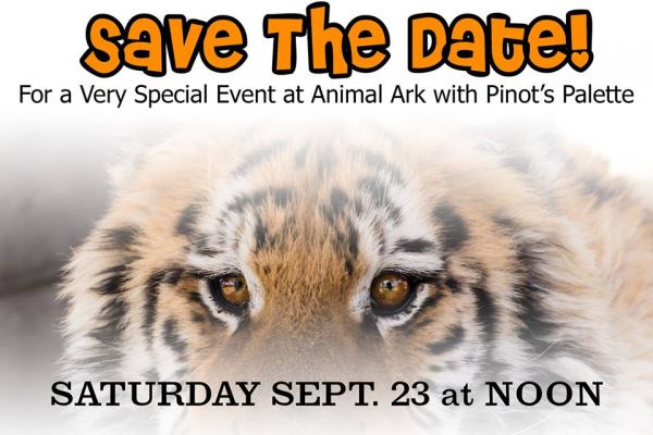 Animal Ark Eye of the Tiger Painting Party | Animal Ark Wildlife Sanctuary  | Nevada Events