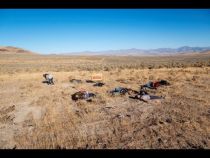 Western Mining Action